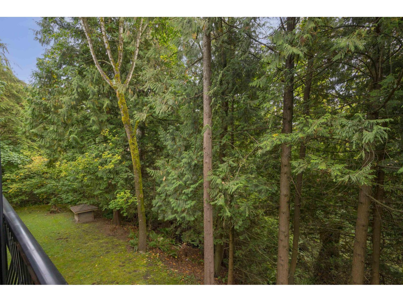 208 10320 156 Street, Surrey, British Columbia  V3R 4L8 - Photo 26 - R3056156