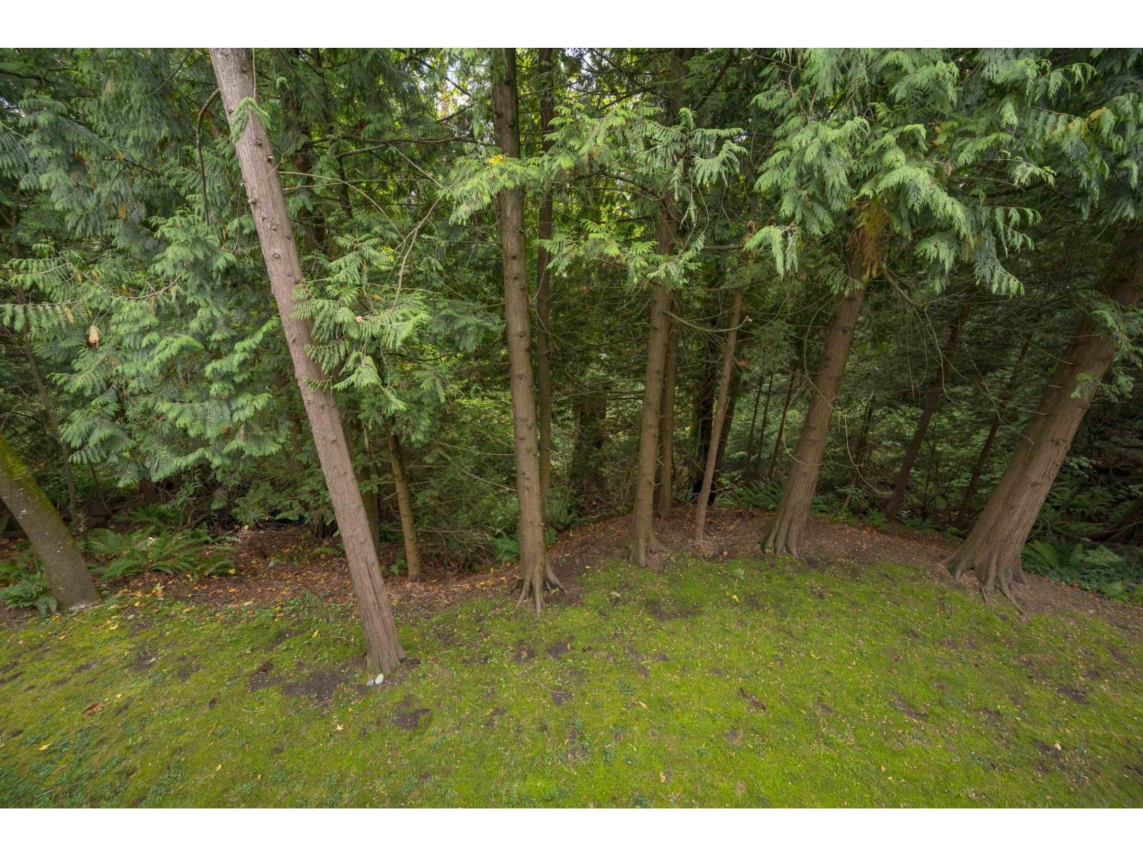 208 10320 156 Street, Surrey, British Columbia  V3R 4L8 - Photo 27 - R3056156