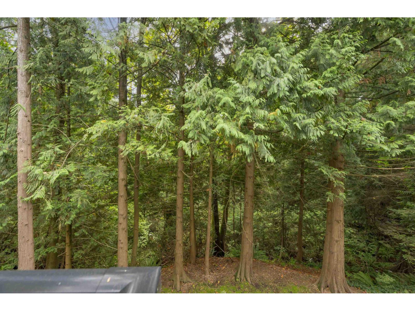 208 10320 156 Street, Surrey, British Columbia  V3R 4L8 - Photo 28 - R3056156