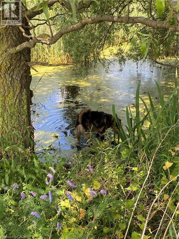 120 Pauline Johnson Road, Caledonia, Ontario N3W 2G9 - Photo 13 - 40742374