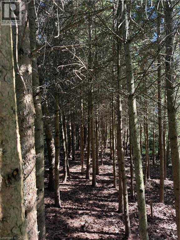 120 Pauline Johnson Road, Caledonia, Ontario N3W 2G9 - Photo 35 - 40742374