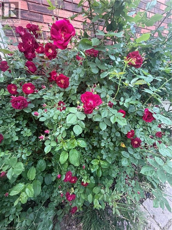 120 Pauline Johnson Road, Caledonia, Ontario N3W 2G9 - Photo 39 - 40742374