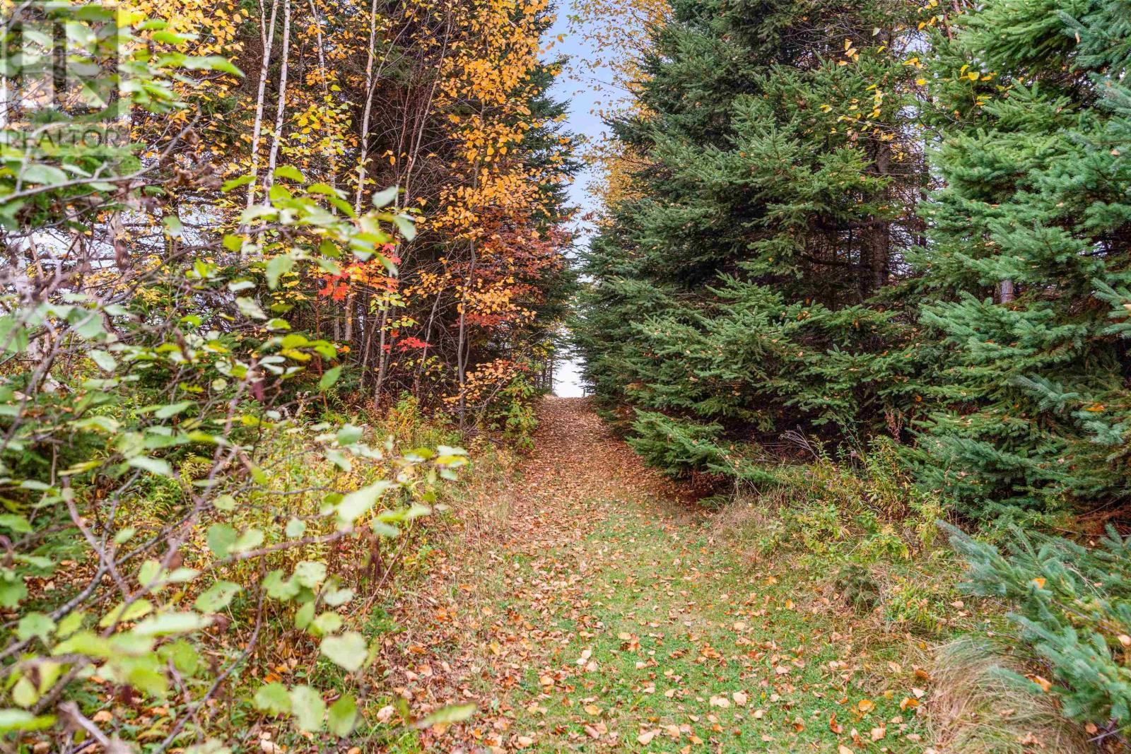 23 Riverview Drive, Fortune Cove, Prince Edward Island  C0B 1V0 - Photo 29 - 202526620