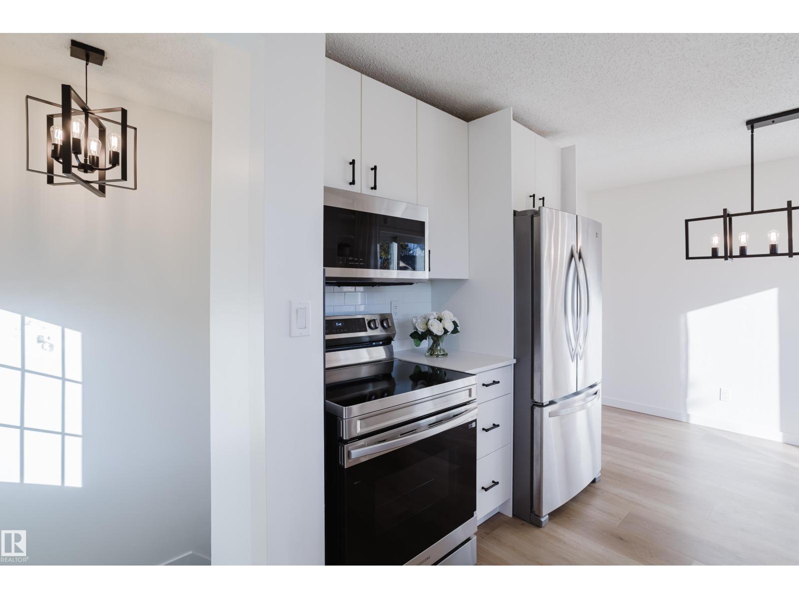 15107 22 Street Nw, Edmonton, Alberta  T5Y 2A4 - Photo 19 - E4463588