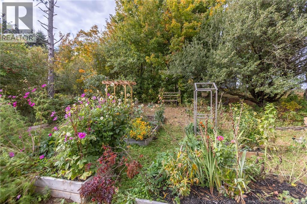 1 School Lane, Sackville, New Brunswick  E4L 3J8 - Photo 46 - NB128484