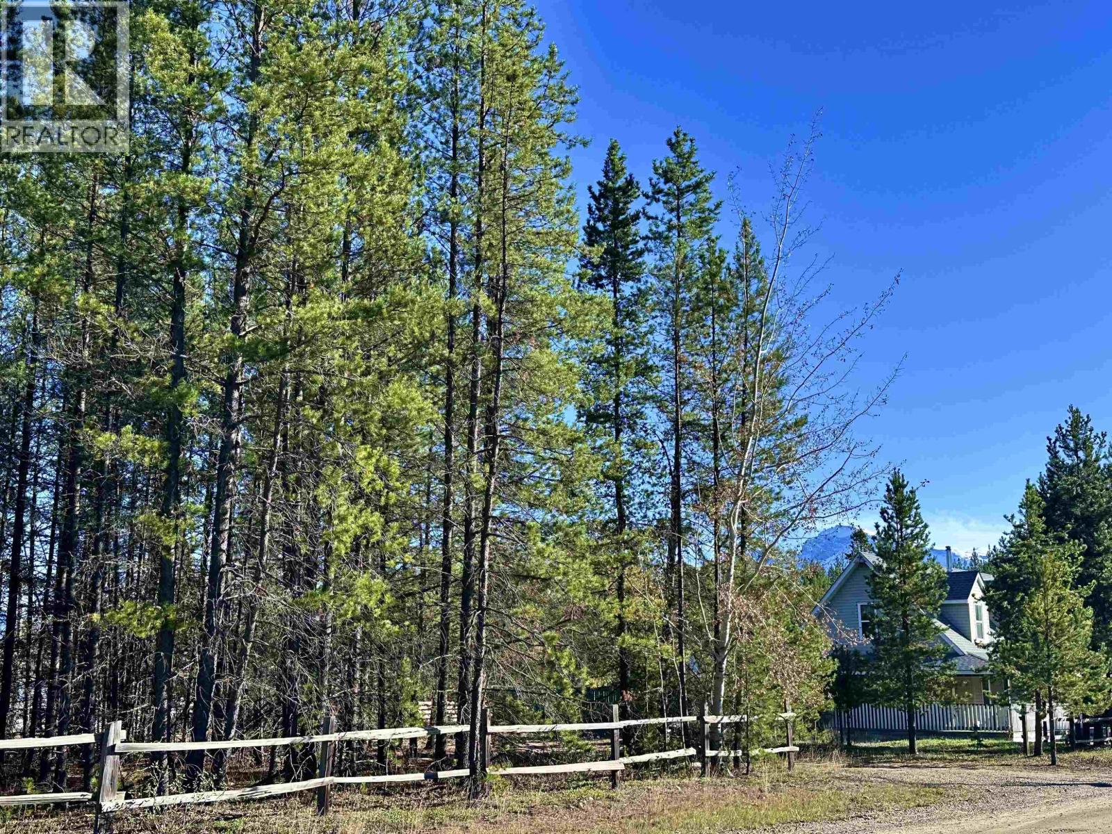 205 Dogwood Street, Valemount, British Columbia  V0E 2Z0 - Photo 2 - R3059987