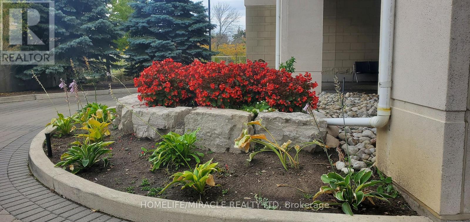 408 - 3865 Lake Shore Boulevard W, Toronto, Ontario  M8W 0A2 - Photo 23 - W12482912