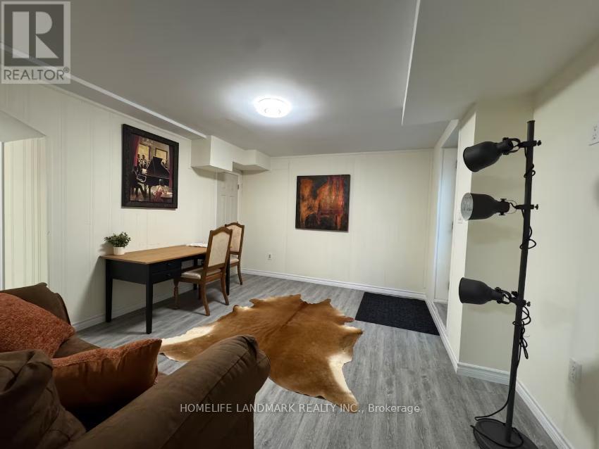 Lower - 50 Addison Street, Richmond Hill, Ontario  L4C 7L8 - Photo 5 - N12482949