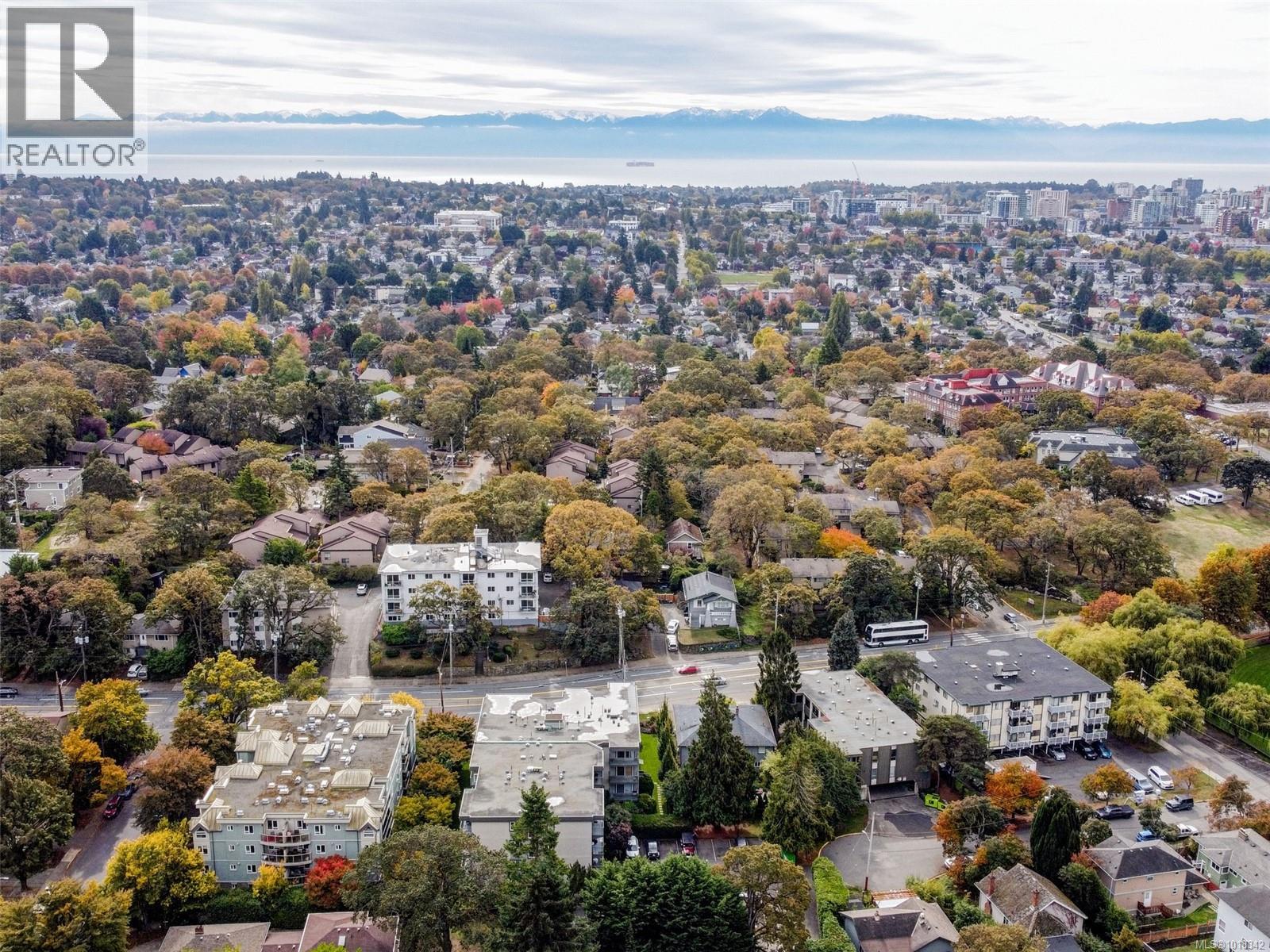 309 1342 Hillside Ave, Victoria, British Columbia  V8T 2B4 - Photo 4 - 1018342