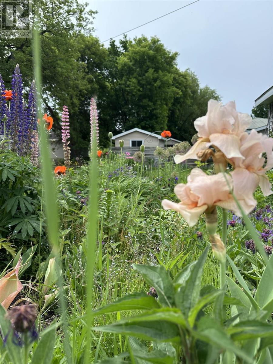 157 East Balfour St, Sault Ste. Marie, Ontario  P6C 1X7 - Photo 43 - SM252940