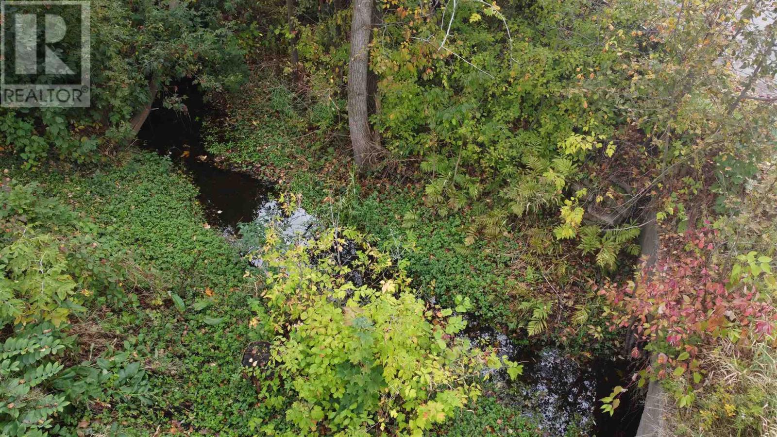 157 East Balfour St, Sault Ste. Marie, Ontario  P6C 1X7 - Photo 49 - SM252940