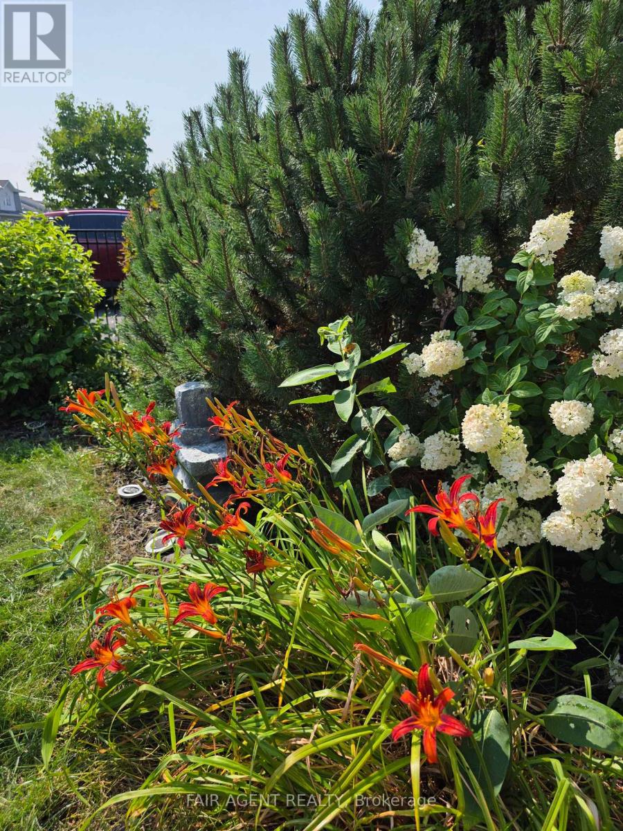 261 Trillium Circle, Alfred And Plantagenet, Ontario  K0A 3K0 - Photo 23 - X12482963