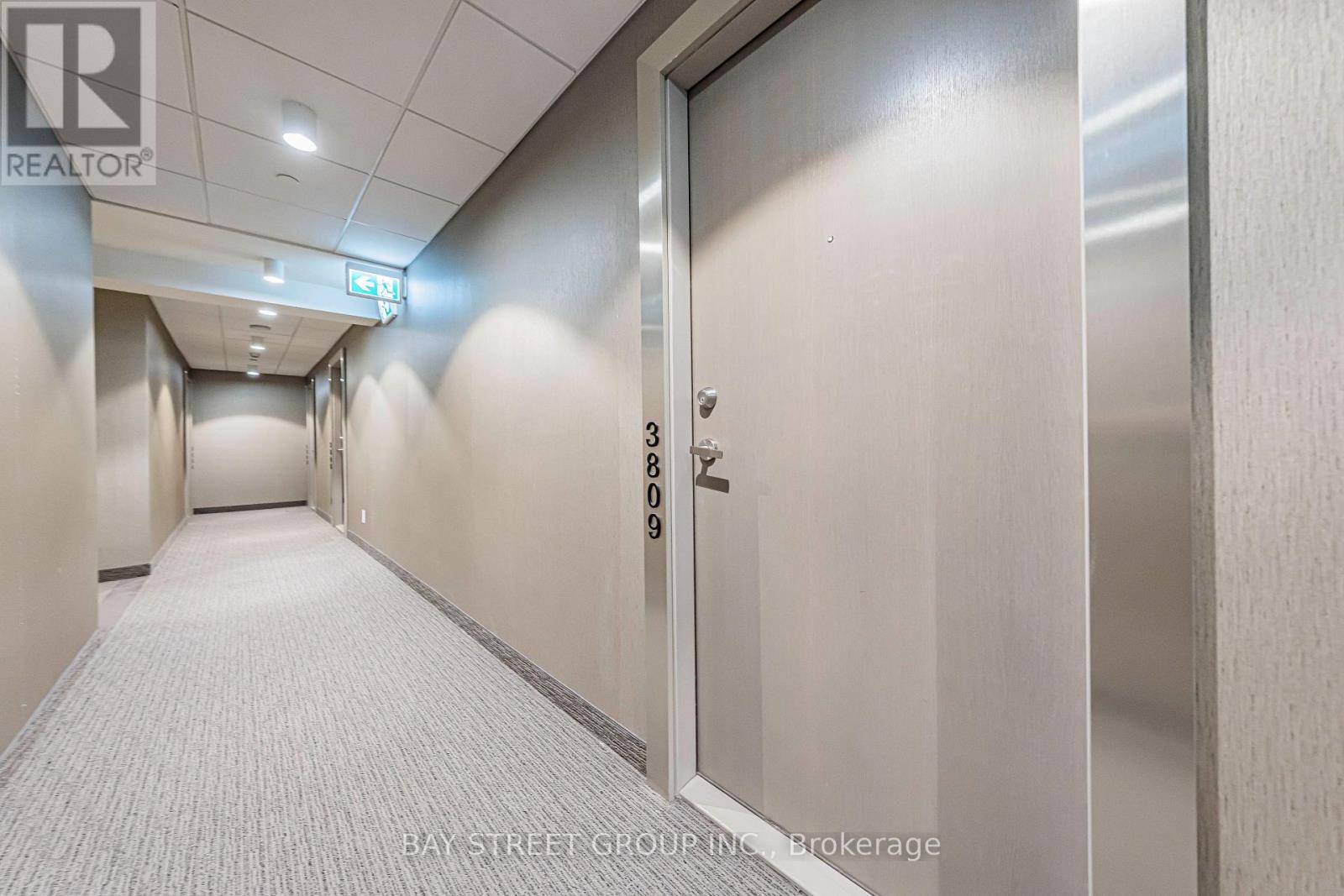 3809 - 100 Harbour Street, Toronto, Ontario  M5J 0B5 - Photo 32 - C12482957