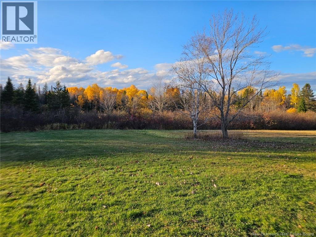 78 Theriault Road, Middle River, New Brunswick  E2A 6Y8 - Photo 5 - NB129127