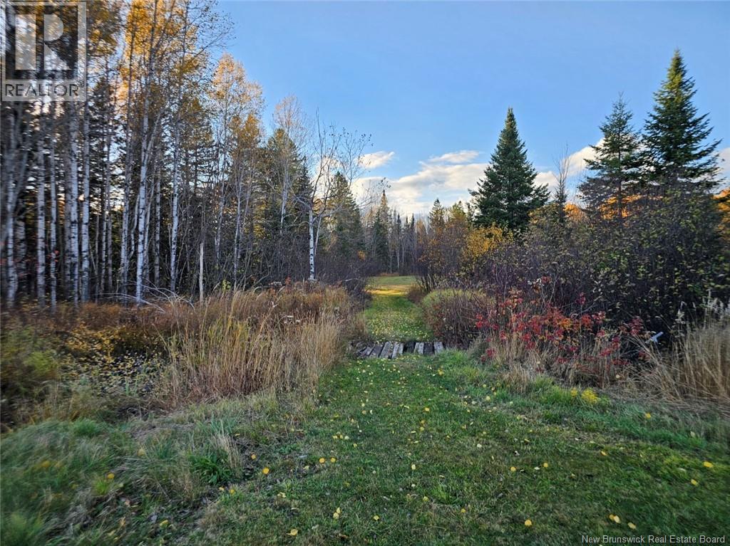 78 Theriault Road, Middle River, New Brunswick  E2A 6Y8 - Photo 6 - NB129127