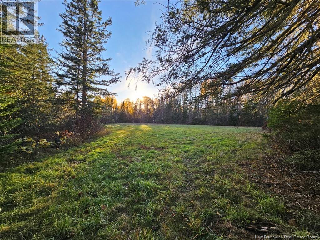 78 Theriault Road, Middle River, New Brunswick  E2A 6Y8 - Photo 7 - NB129127