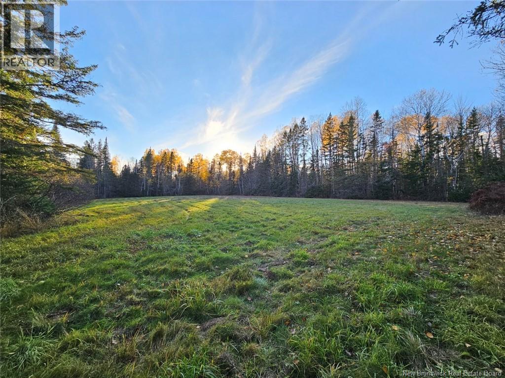 78 Theriault Road, Middle River, New Brunswick  E2A 6Y8 - Photo 8 - NB129127