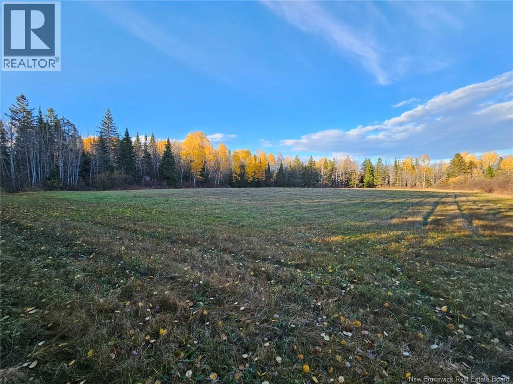 78 Theriault Road, Middle River, New Brunswick  E2A 6Y8 - Photo 9 - NB129127