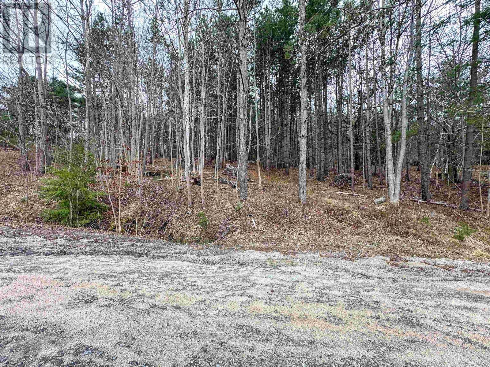 Lot Harlow Road, Conquerall Bank, Nova Scotia  B4V 0H2 - Photo 7 - 202506601