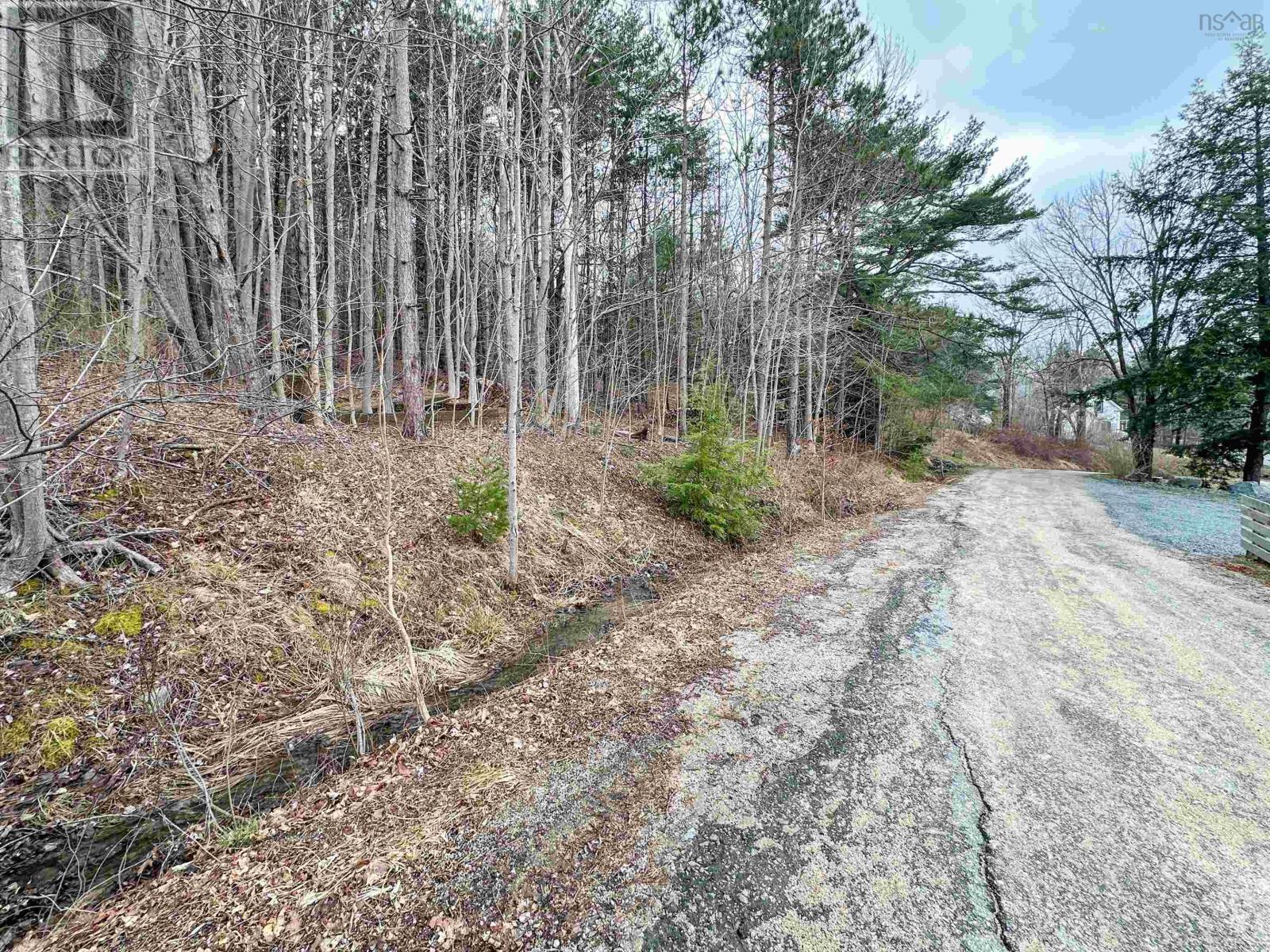 Lot Harlow Road, Conquerall Bank, Nova Scotia  B4V 0H2 - Photo 6 - 202506601