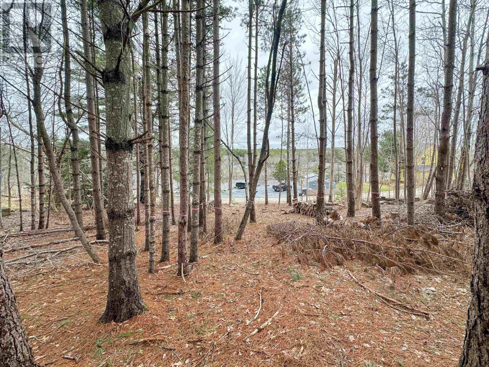 Lot Harlow Road, Conquerall Bank, Nova Scotia  B4V 0H2 - Photo 14 - 202506601