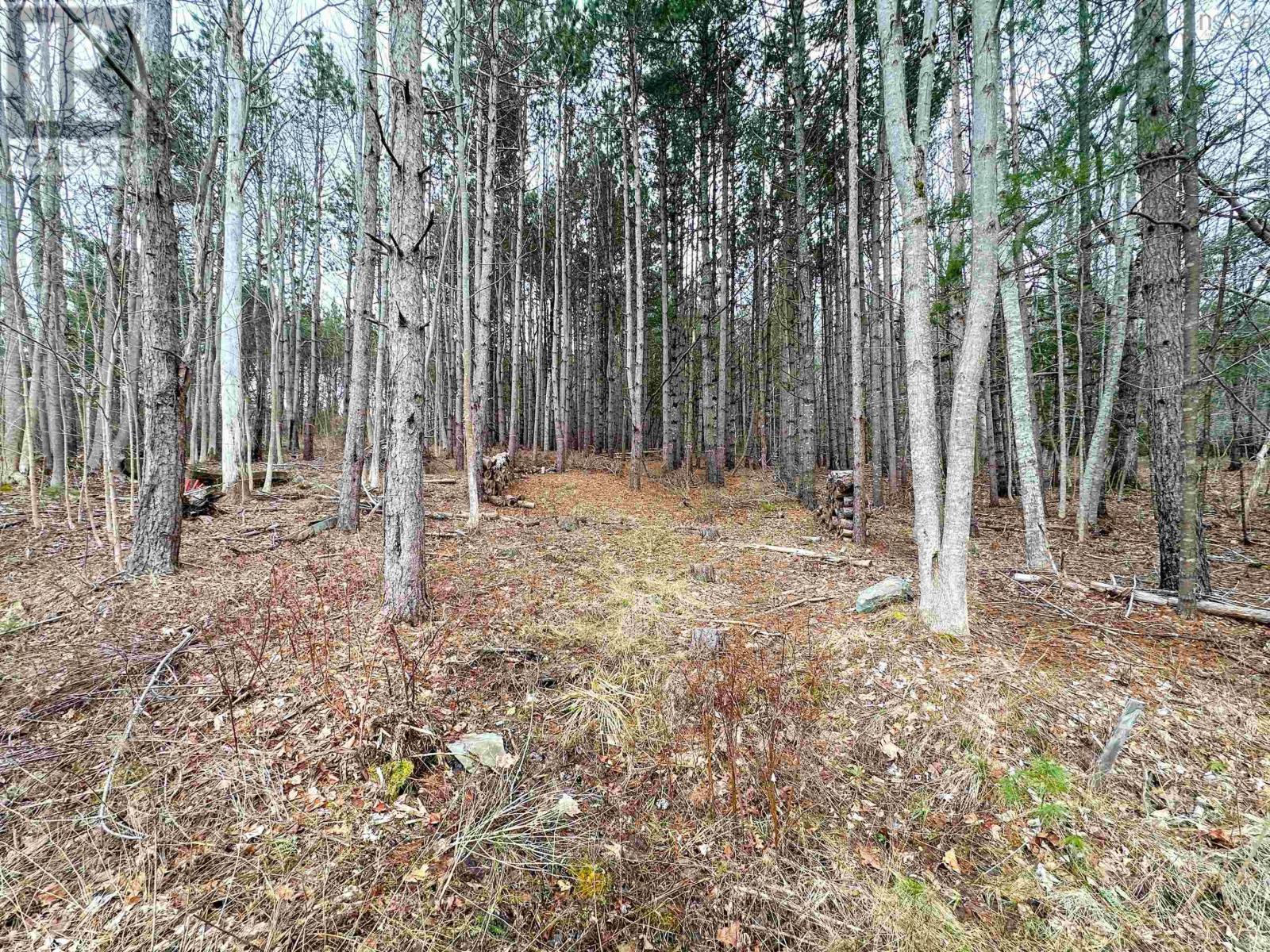 Lot Harlow Road, Conquerall Bank, Nova Scotia  B4V 0H2 - Photo 9 - 202506601