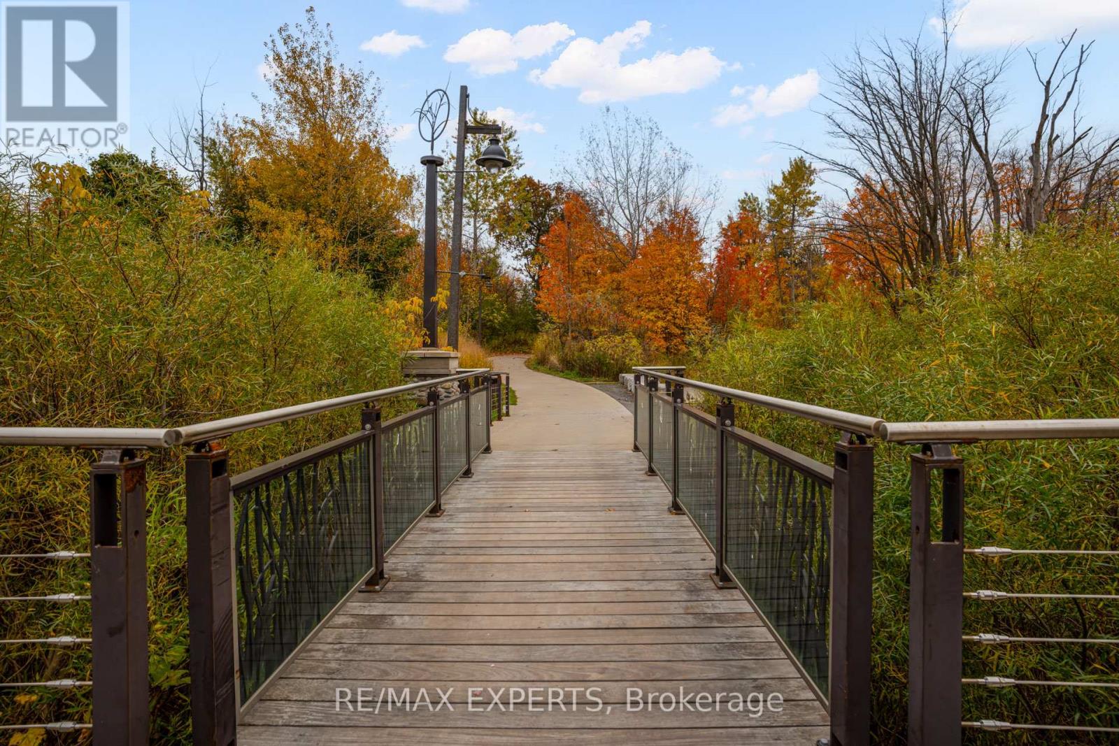 10 Helliwell Crescent, Richmond Hill, Ontario  L4E 5B6 - Photo 41 - N12483005