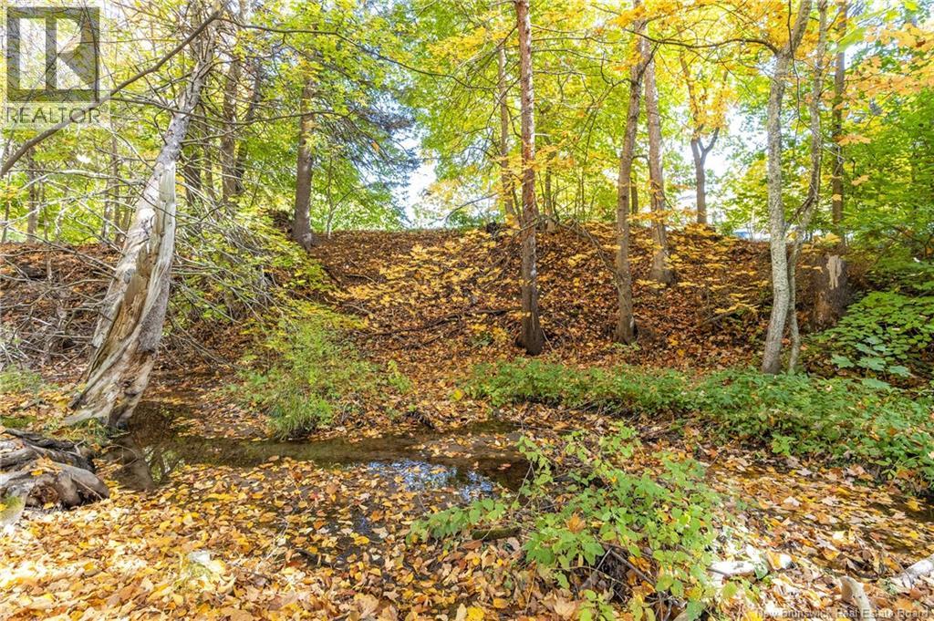 114 Route 133 Road, Shediac, New Brunswick  E4P 3E2 - Photo 46 - NB128747