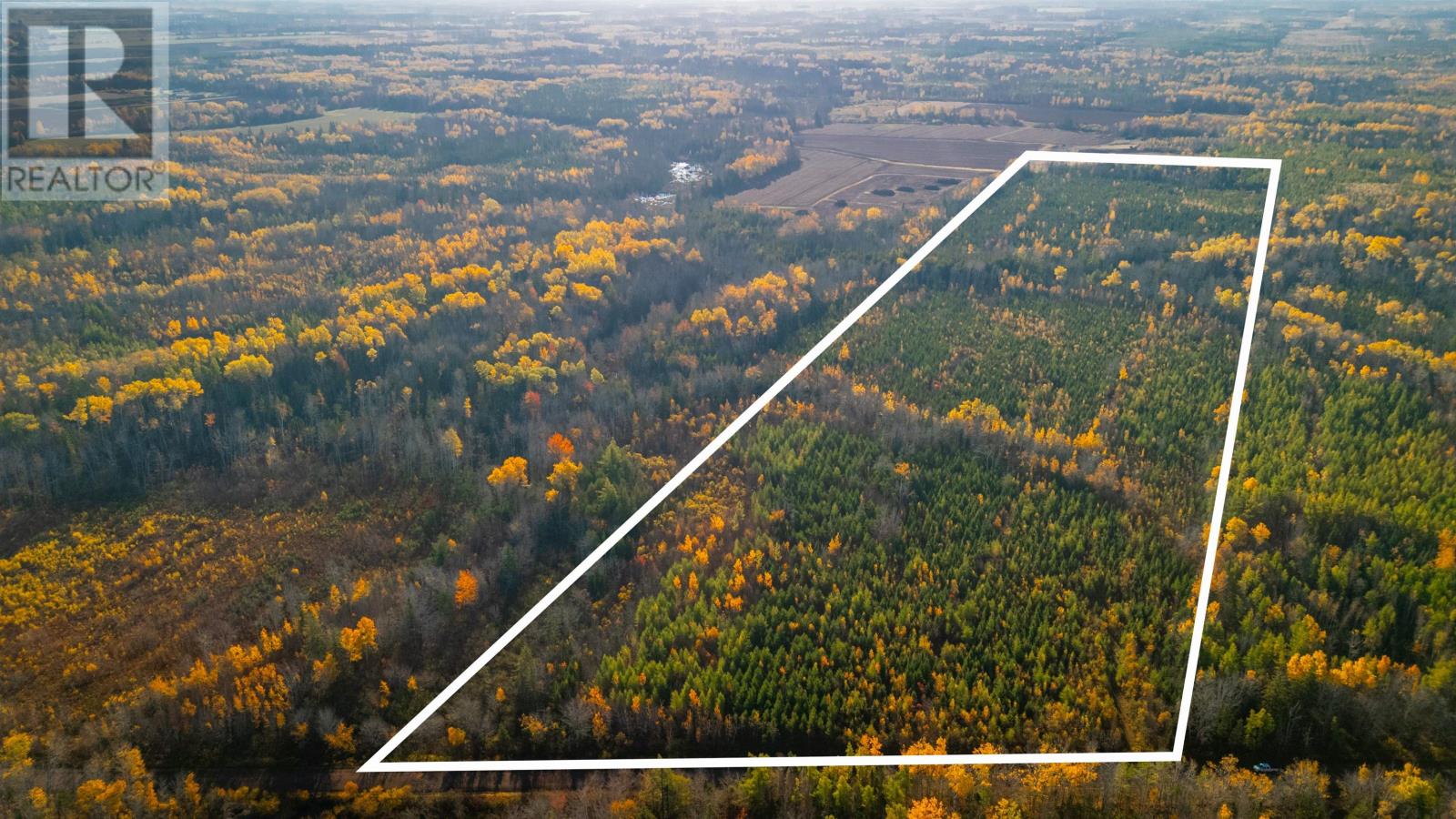 Acreage Doyle Road, Glengarry, Prince Edward Island  C0B 1E0 - Photo 1 - 202526639