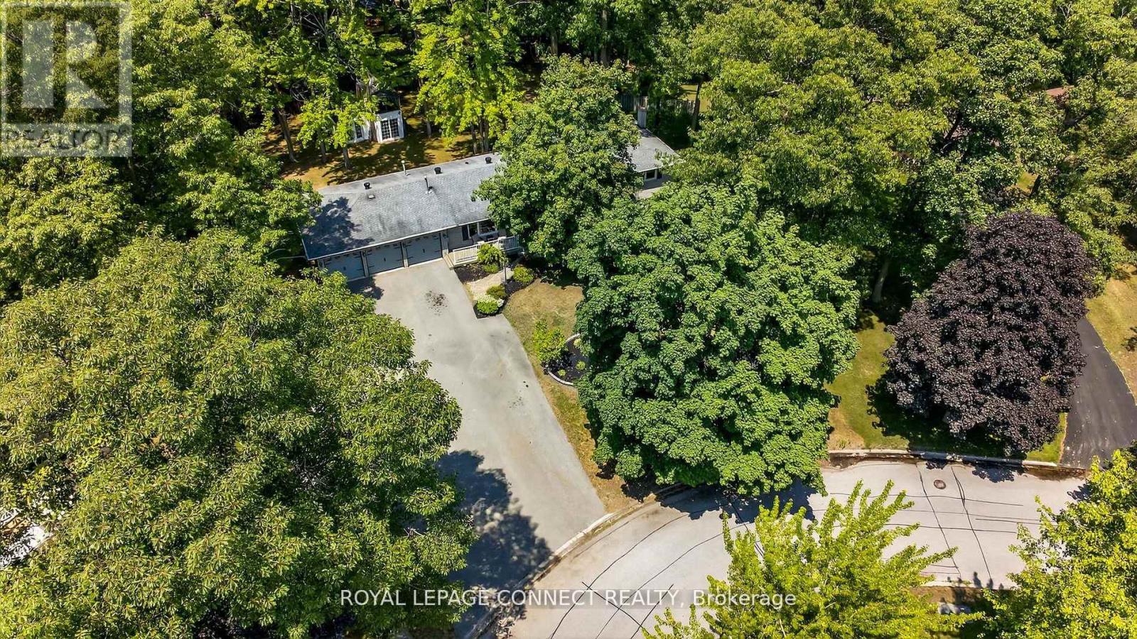 10 Donaldson Road, East Gwillimbury, Ontario  L9N 1J2 - Photo 45 - N12483108