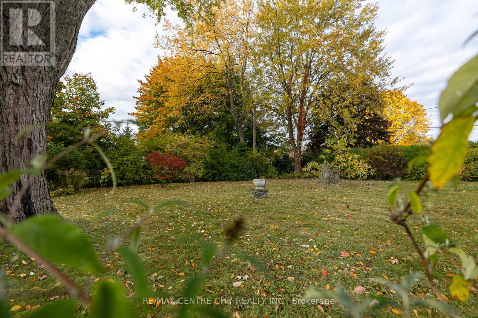 3 Gliddon Avenue, St. Thomas, Ontario  N5R 1G3 - Photo 29 - X12483138
