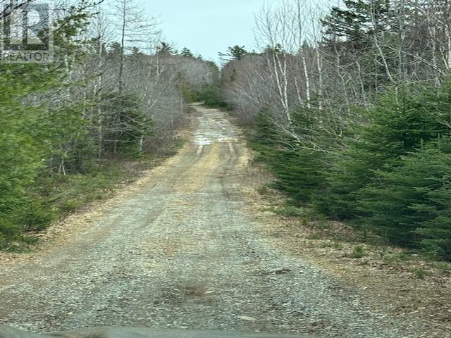 1040 Corkum And Burns Road, Black River, Nova Scotia  B4P 2R2 - Photo 27 - 202507196