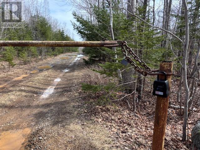 1040 Corkum And Burns Road, Black River, Nova Scotia  B4P 2R2 - Photo 30 - 202507196