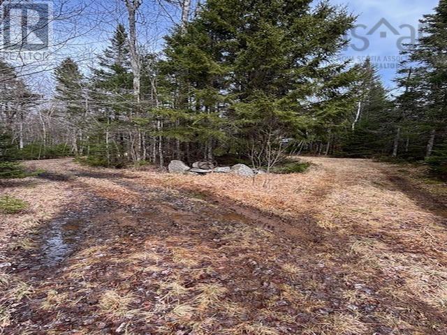 1040 Corkum And Burns Road, Black River, Nova Scotia  B4P 2R2 - Photo 26 - 202507196