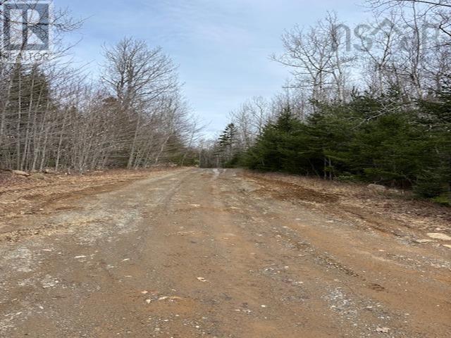 1040 Corkum And Burns Road, Black River, Nova Scotia  B4P 2R2 - Photo 29 - 202507196