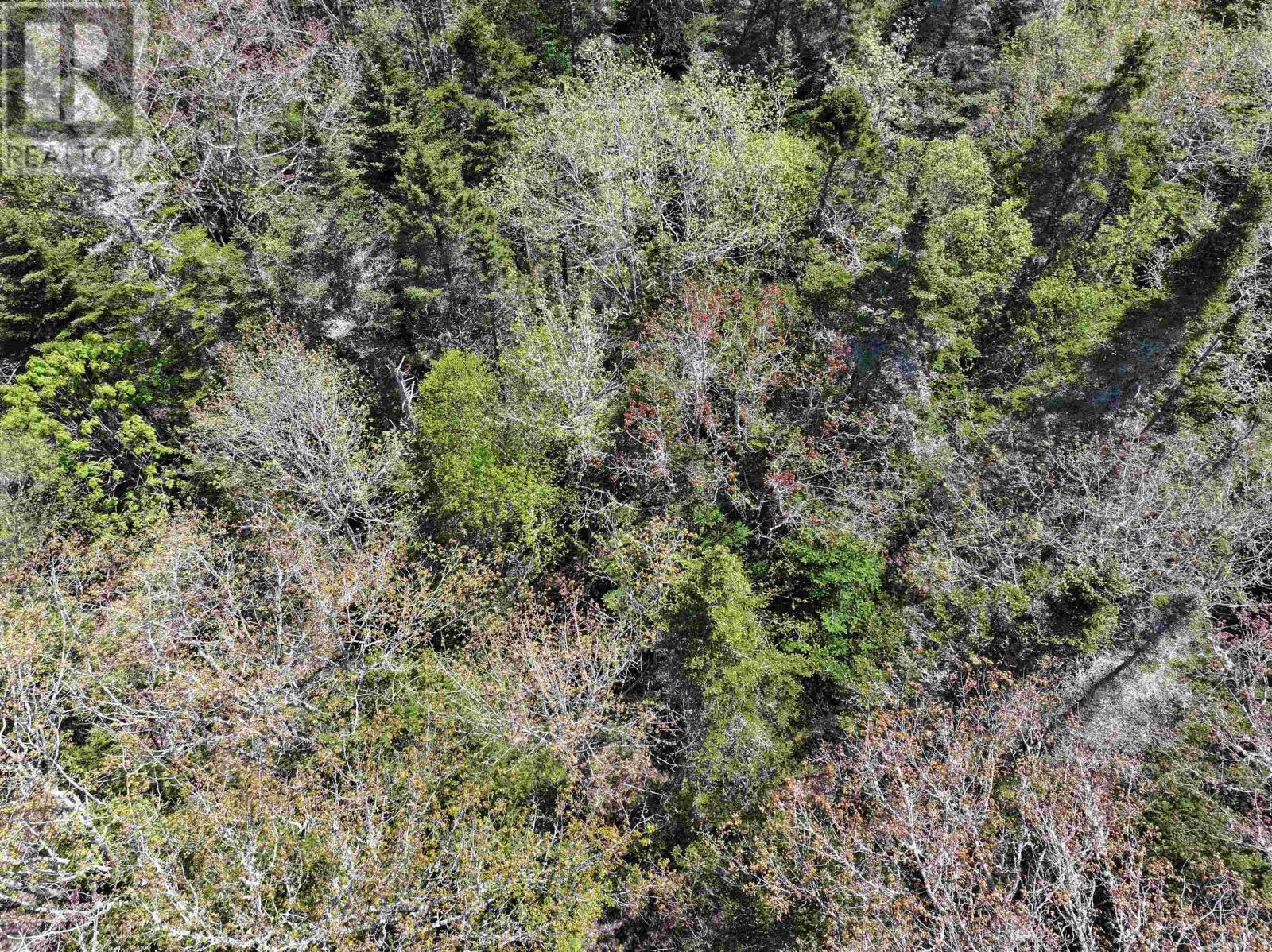 Lot 4 - 5 Maple Tree Lane, West Porters Lake Road, West Porters Lake, Nova Scotia  B3E 1L2 - Photo 16 - 202512525