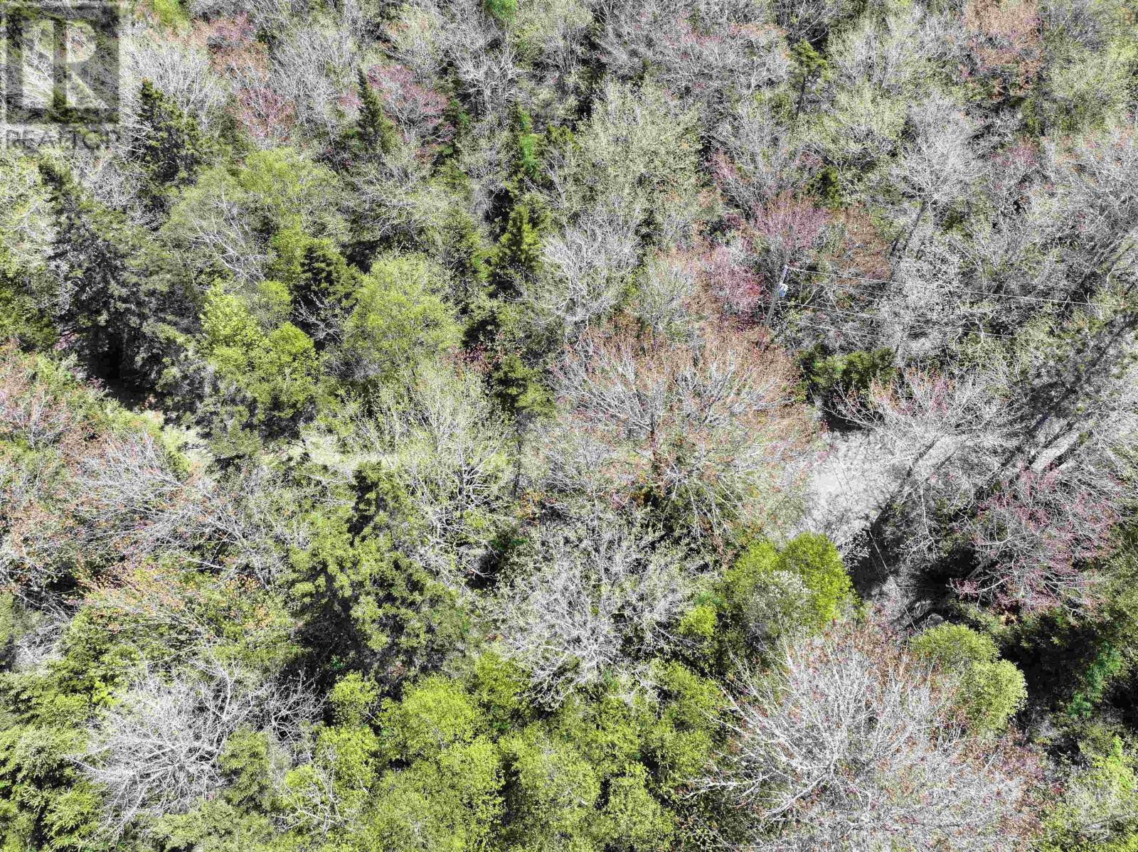 Lot 4 - 5 Maple Tree Lane, West Porters Lake Road, West Porters Lake, Nova Scotia  B3E 1L2 - Photo 13 - 202512525