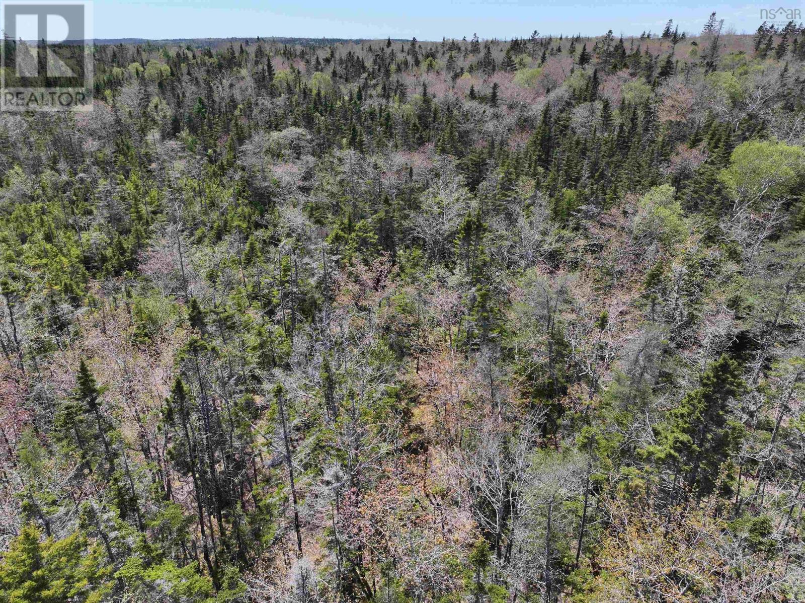 Lot 4 - 5 Maple Tree Lane, West Porters Lake Road, West Porters Lake, Nova Scotia  B3E 1L2 - Photo 4 - 202512525