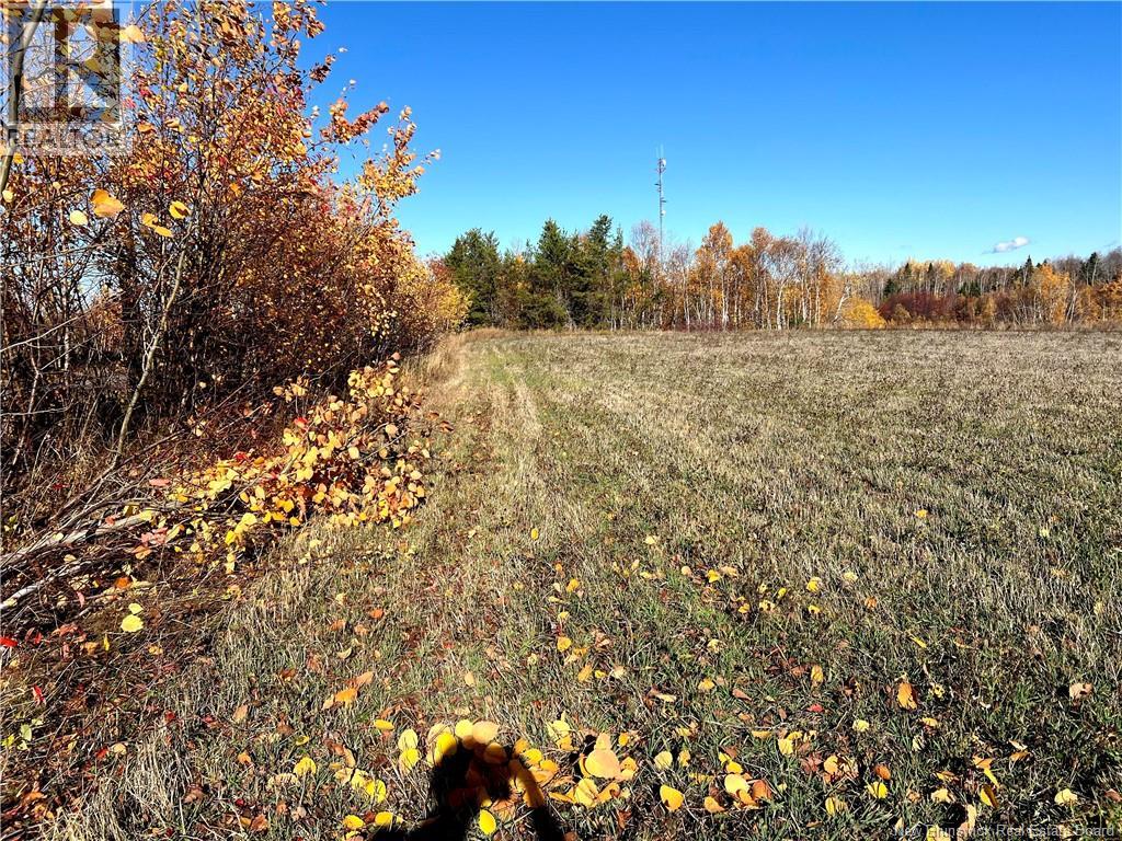 3 Acres Ch Eustache Hache, Saint-Isidore, New Brunswick  E8M 1G7 - Photo 1 - NB129105