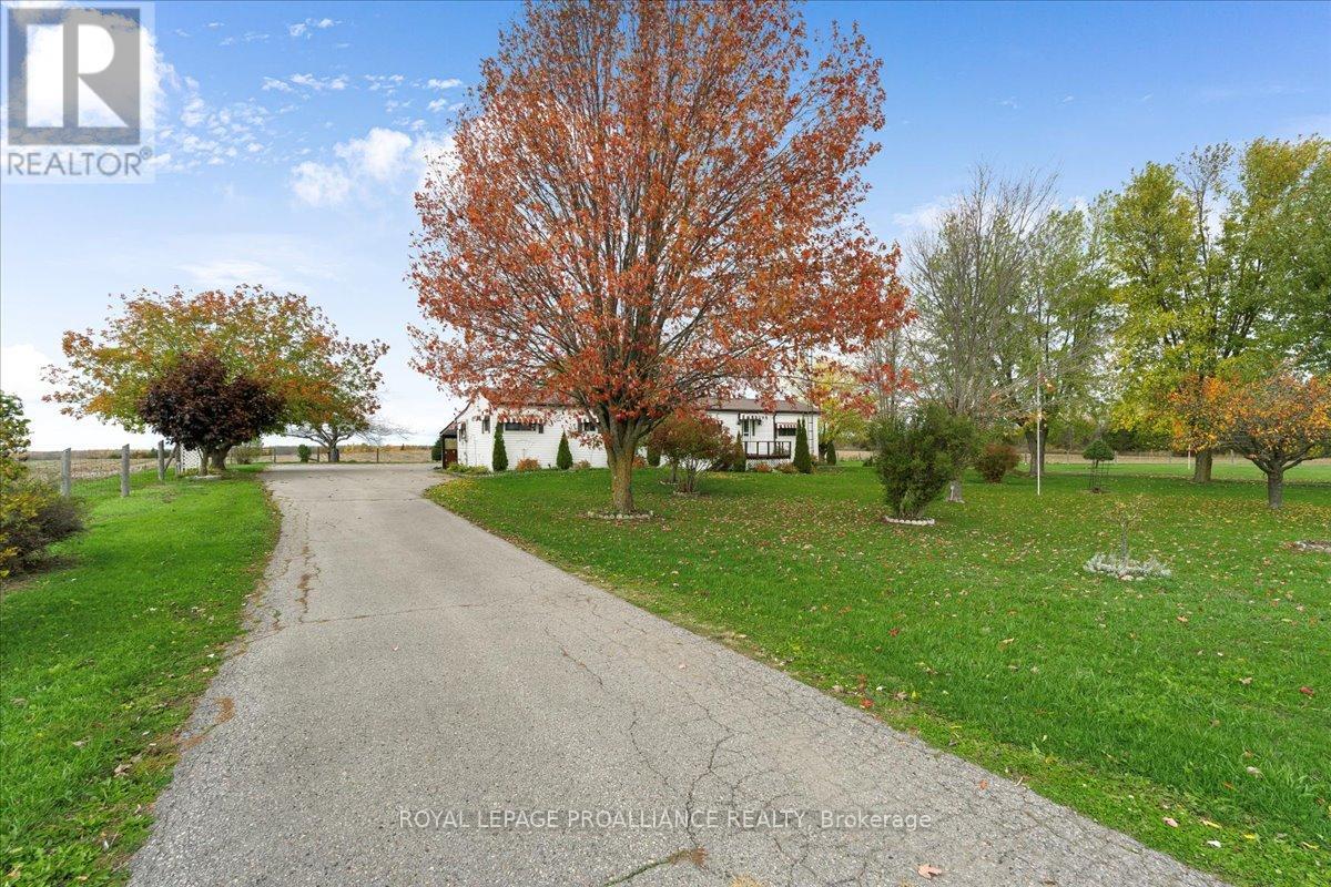 1956 13th Line E, Trent Hills, Ontario  K0K 2M0 - Photo 3 - X12483290