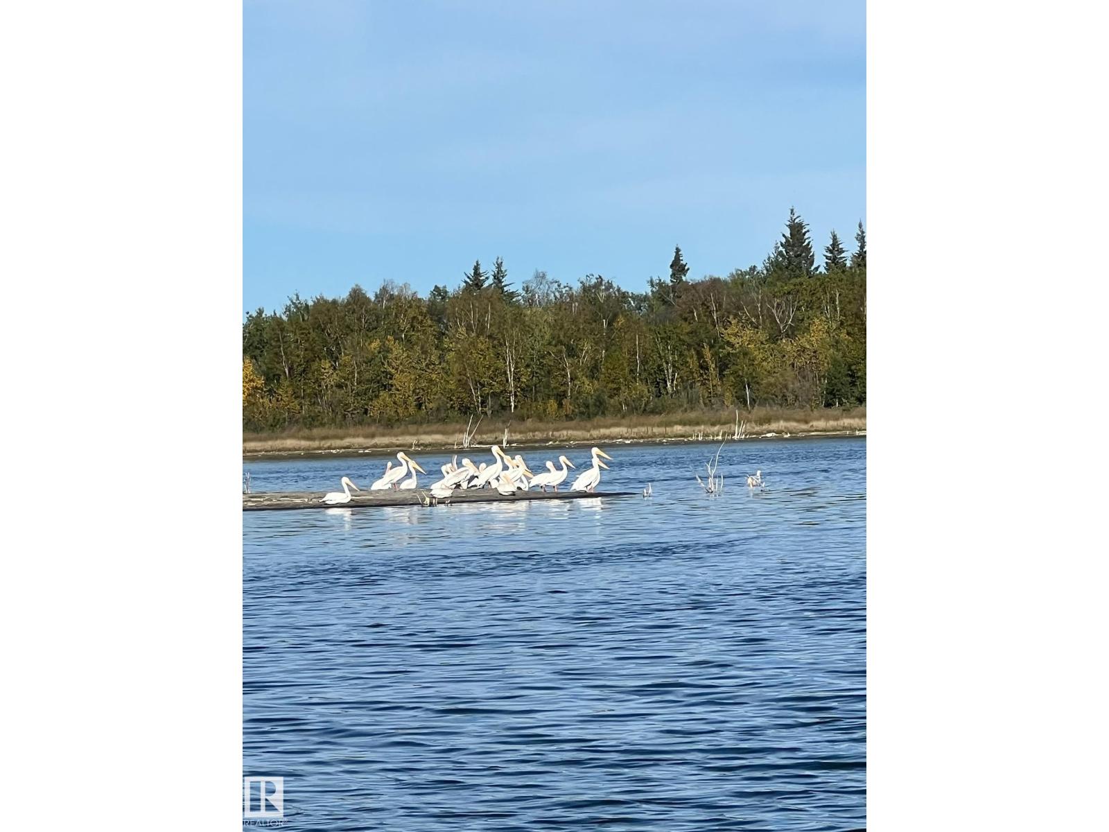260, 57201 Rng Rd 102, Rural St. Paul County, Alberta  T0A 3A0 - Photo 43 - E4450154