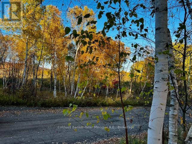 LOT 16 SEYMOUR STREET, North Bay, Ontario