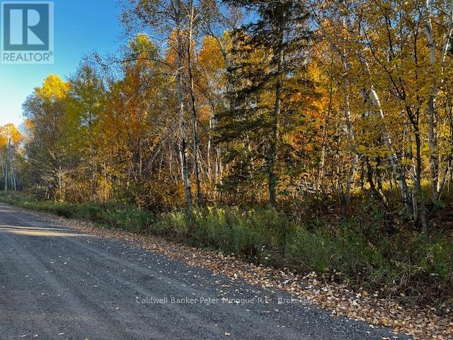 Lot 16 Seymour Street, North Bay, Ontario  P1B 8Z4 - Photo 4 - X12483263