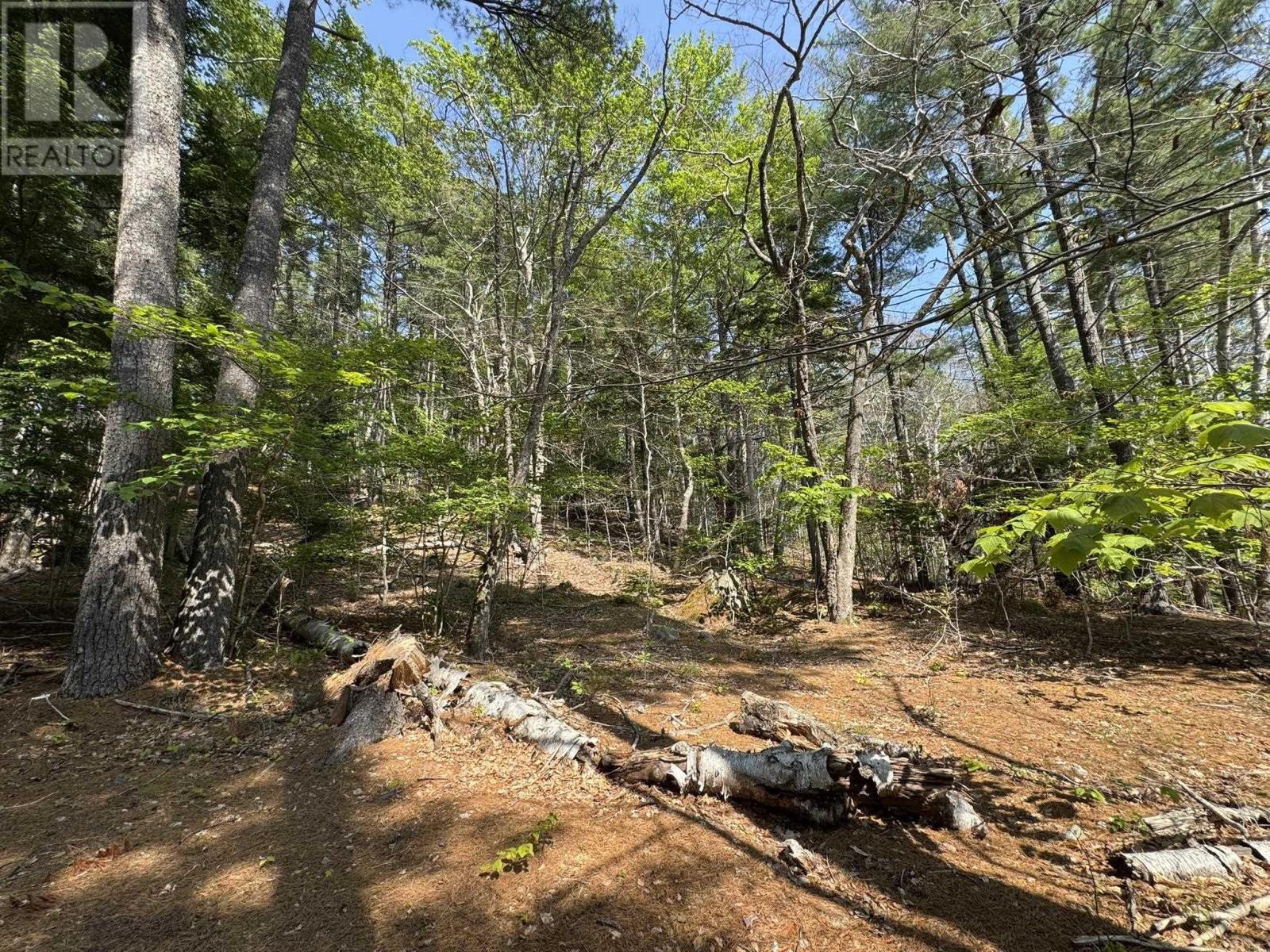 63 Gulch Road, Labelle, Nova Scotia  B0T 1E0 - Photo 26 - 202503980