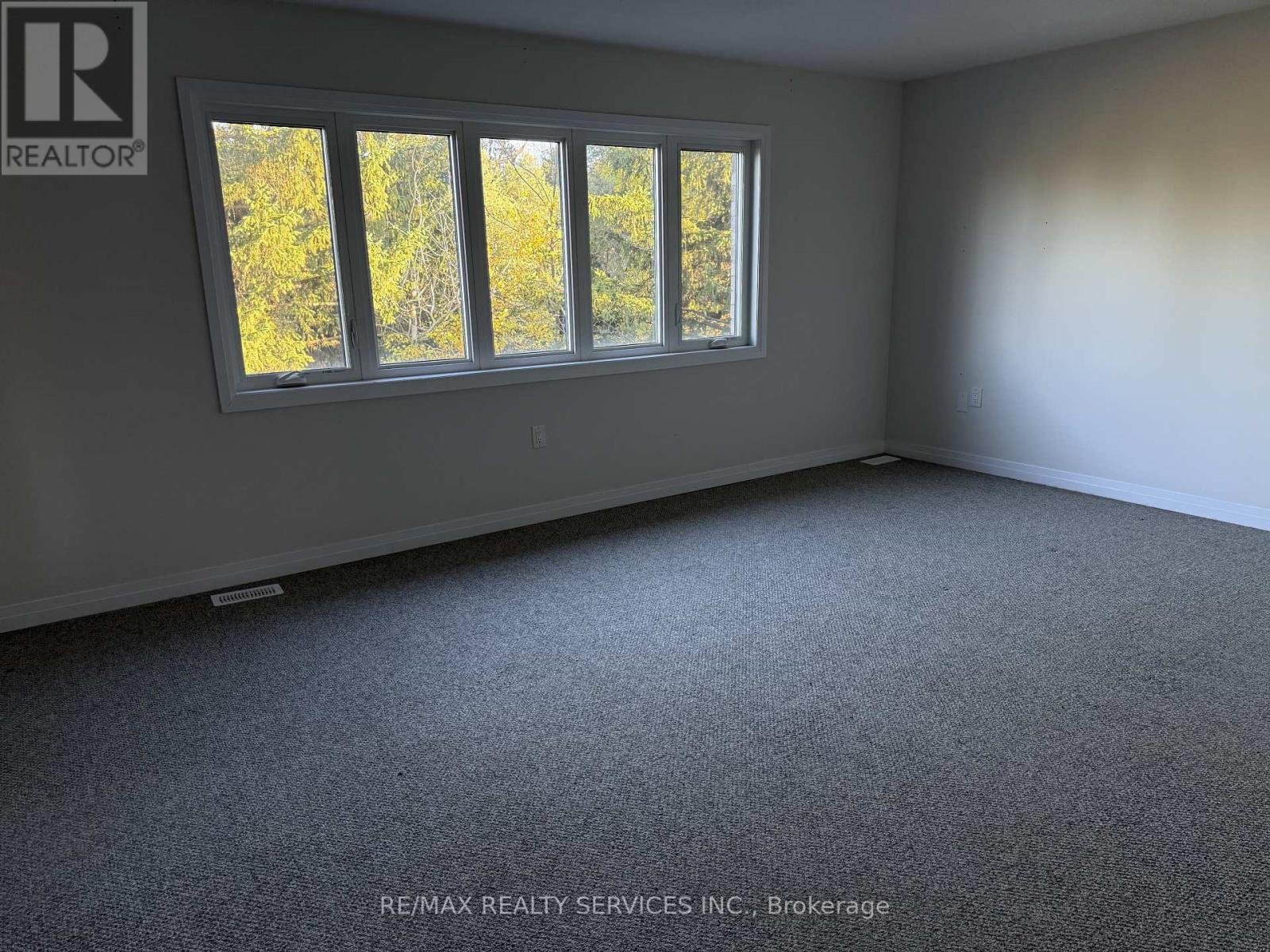 145 Dingman Street, Wellington North, Ontario  N0G 1A0 - Photo 21 - X12483242