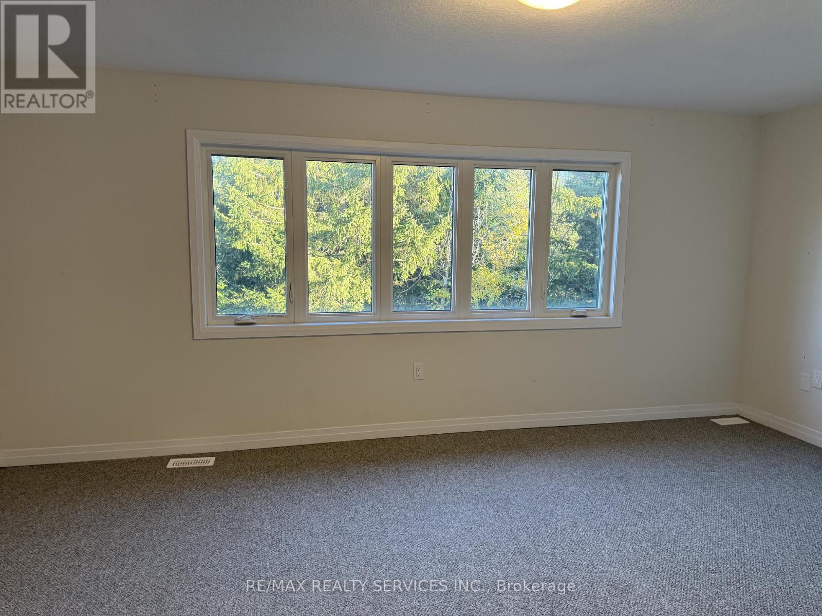 145 Dingman Street, Wellington North, Ontario  N0G 1A0 - Photo 26 - X12483242