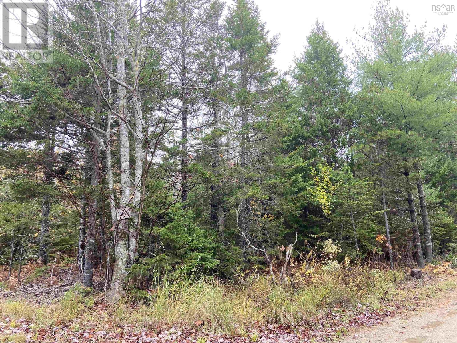 Lot 48 Sunrise Road, North Kemptville, Nova Scotia  B5A 5X9 - Photo 2 - 202526563