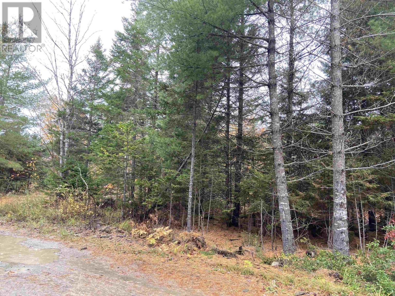 Lot 48 Sunrise Road, North Kemptville, Nova Scotia  B5A 5X9 - Photo 3 - 202526563