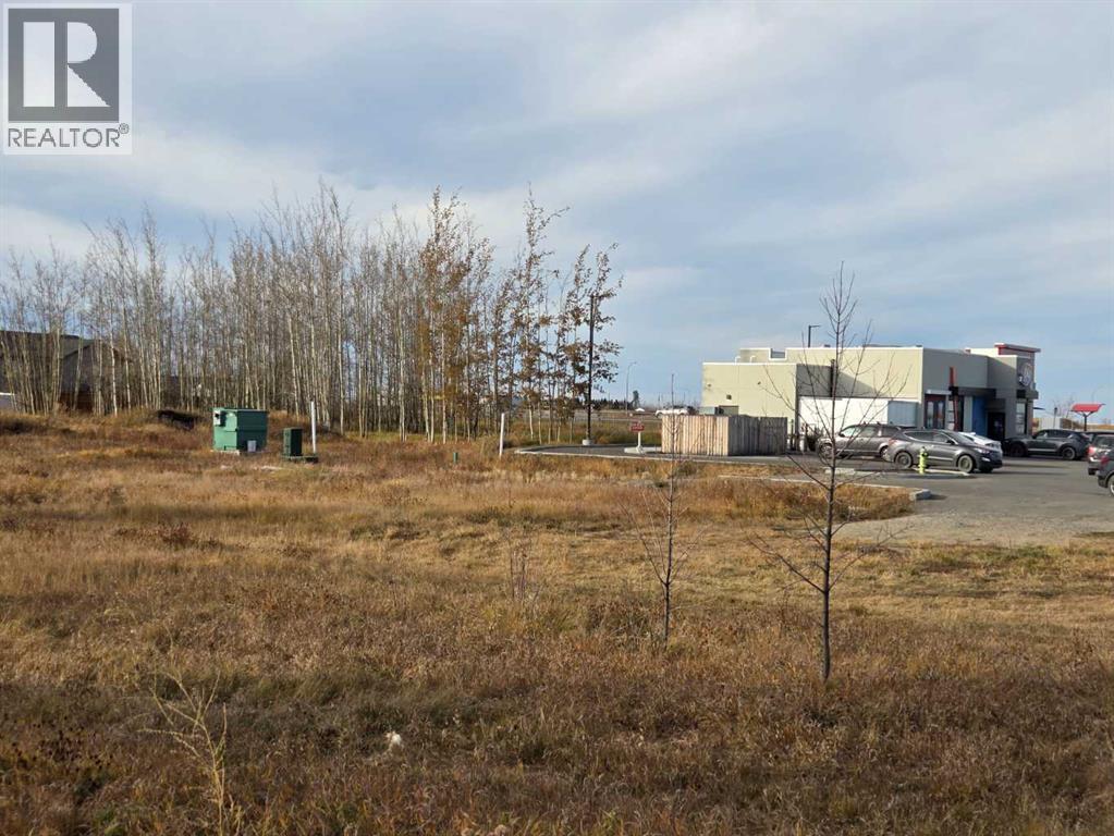 2412 20th Street, Didsbury, Alberta  T0M 0A2 - Photo 10 - A2224725