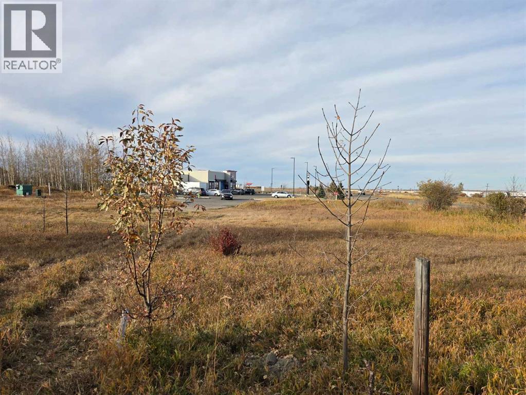 2412 20th Street, Didsbury, Alberta  T0M 0A2 - Photo 7 - A2224725